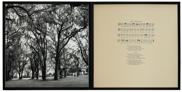 A black-and-white photograph of dark trees with feathery hanging leaves and gnarly, organic branches contrasted against a mostly obscured white sky.