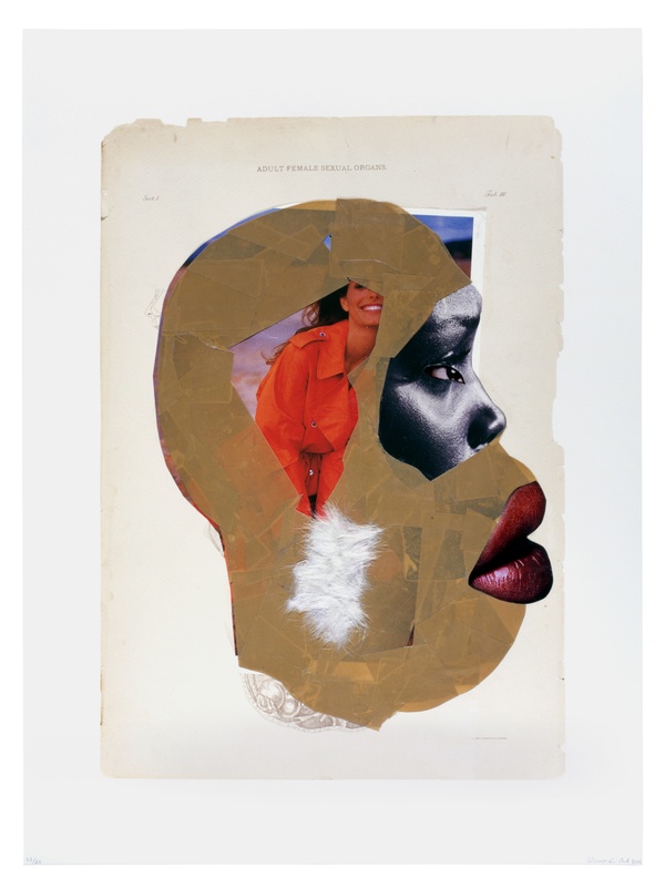 A book page of an anatomical diagram is layered in a collage that creates a woman’s head in profile with exaggerated features, made up of brown material, photographs, and fur.