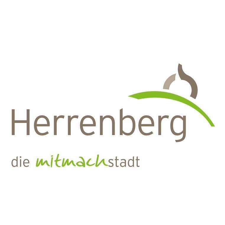 Herrenberg, BW uses digital twin to inform long-term planning with ...