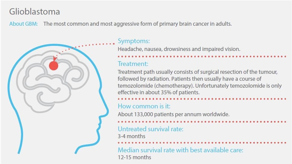 Kazia Therapeutics - Kazia Therapeutics To Present Positive Efficacy ...