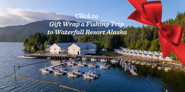 Gift Wrap a Fishing Trip to Waterfall Resort Alaska