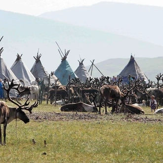 tourhub | Crooked Compass | Reindeer Tribes of Mongolia 