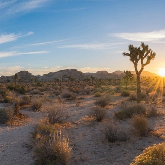 tourhub | Intrepid Travel | Hiking and Camping in Joshua Tree 