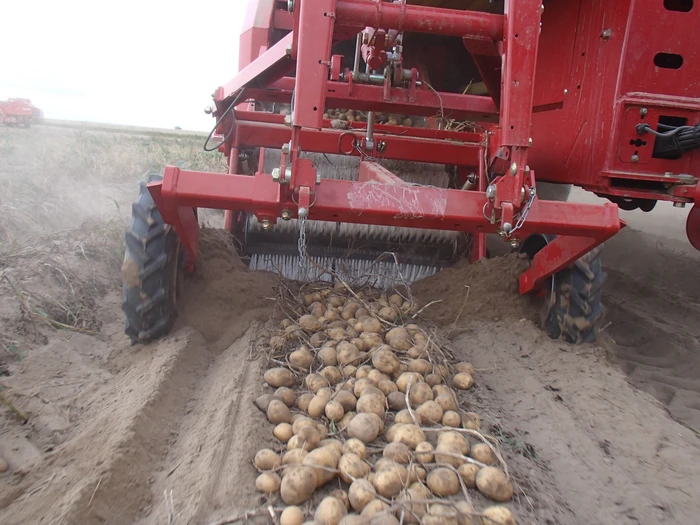 Two-phased harvest process