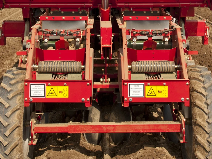 6 round belts, wide return belts with flights and auger ensure accurate arrangement of the seed crop