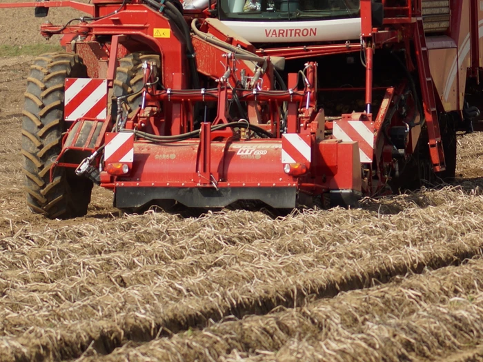 Krautschlagen und Roden in einem Arbeitsgang