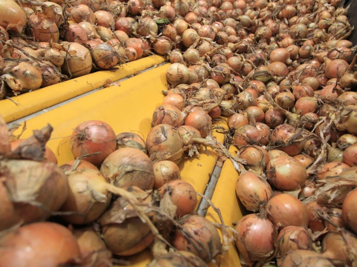 Gentle crop receiving for perfect storing