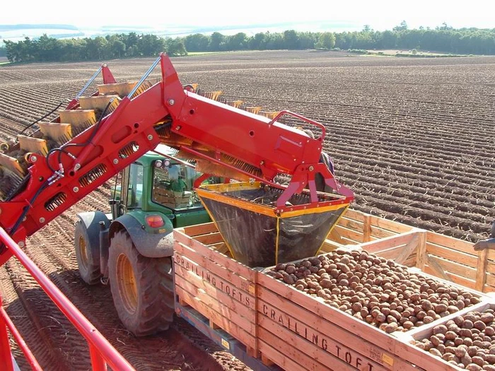 Convenient and crop protective box filling