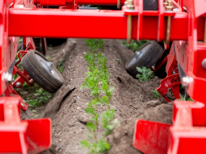 Mechanical weed control