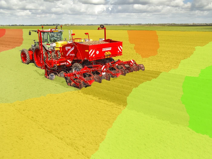 Sub-area specific planting.