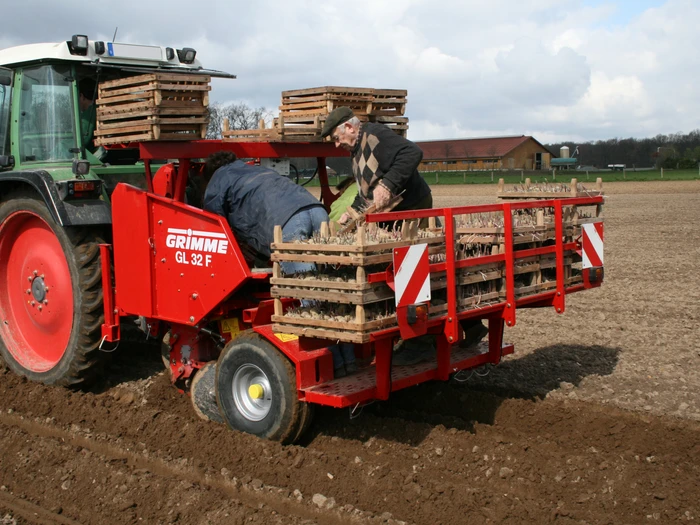 Ideaal voor voorgekiemde aardappelen