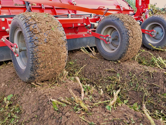 RidgeRunner contre les tubercules verts