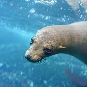 tourhub | Exodus Adventure Travels | Galapagos: In Darwin's Footsteps 