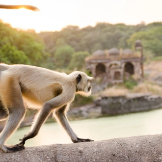 tourhub | UncleSam Holidays | Golden Triangle with Ranthambore Tour 