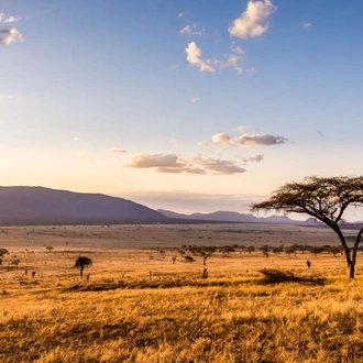 tourhub | Explore! | Highlights of Kenya 