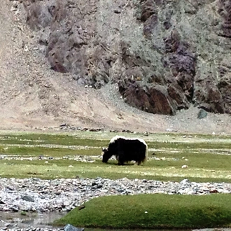 tourhub | My Tour Adviser | Ladakh Delight - 7 Days 