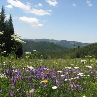 tourhub | Exodus Adventure Travels | Bulgaria: Realm of the Brown Bear 