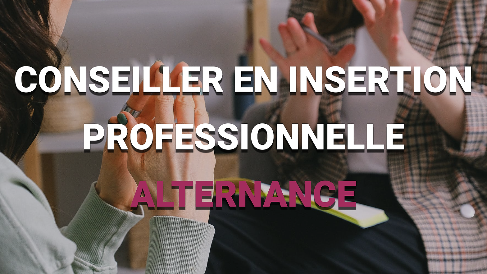 Représentation de la formation : Titre Professionnel Conseiller en Insertion Professionnelle - EN ALTERNANCE