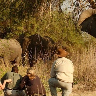 tourhub | Gracepatt Ecotours Kenya | 3 Days Tarangire National park Wildlife Safari  