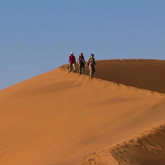 tourhub | Chameleon Safaris Namibia | 15 Day Dunes , Wildlife and Surfing adventure 