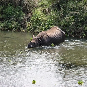 tourhub | Liberty Holidays | 2 Day Chitwan National Park Tour from Kathmandu 