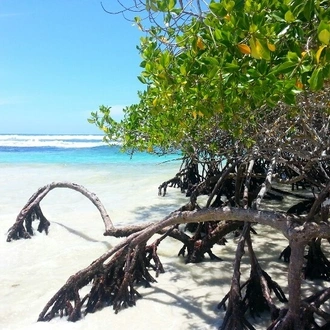 tourhub | Ecuador Galapagos Travels | 10 Days Galapagos Islands (Santa Cruz - Isabela) 