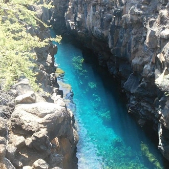 tourhub | BM Tours | Galapagos - Santa Cruz and Isabela. 6 Days Tours 