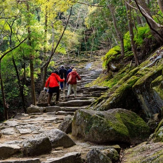 tourhub | Explore! | Walk Japan - Kumano Kodo Trail 