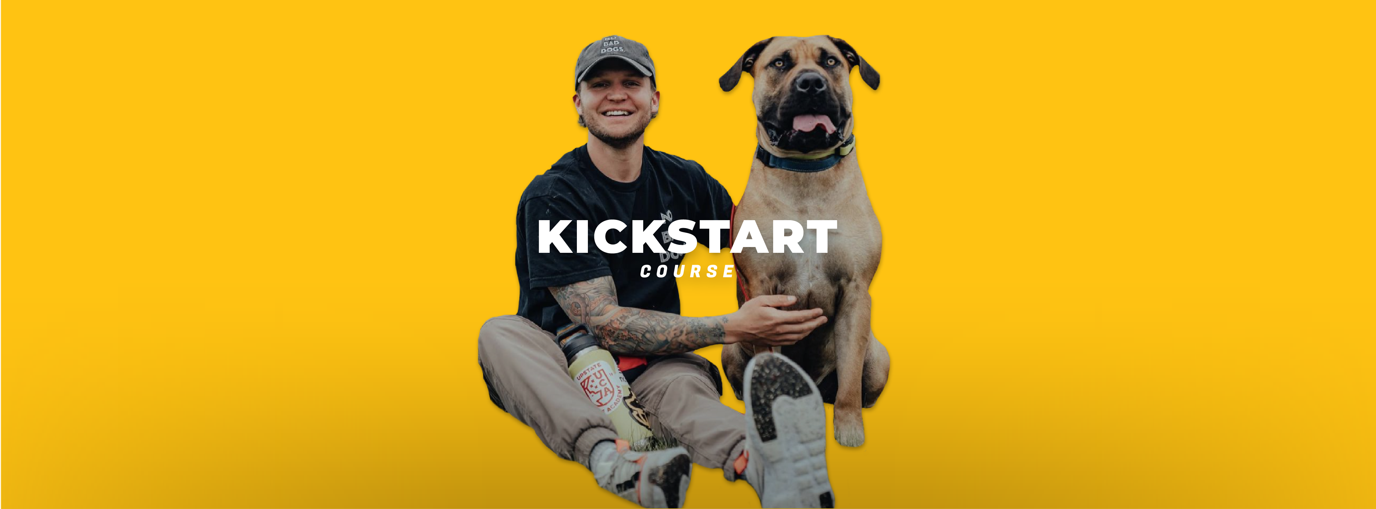 no-bad-dogs-kickstart-course-tom-davis-international