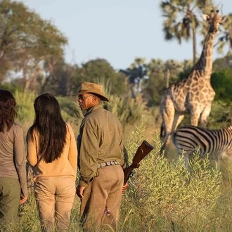 tourhub | Gracepatt Ecotours Kenya | 3 Days Tarangire National park Wildlife Safari  