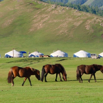 tourhub | Tour Mongolia | Essence of Mongolia - 5 Days 