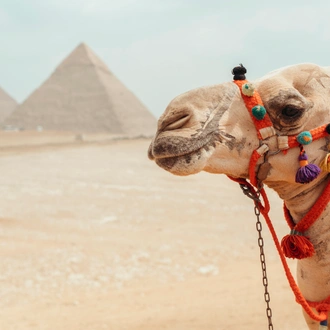 tourhub | Exodus Adventure Travels | Egypt: Alexandria to Aswan 