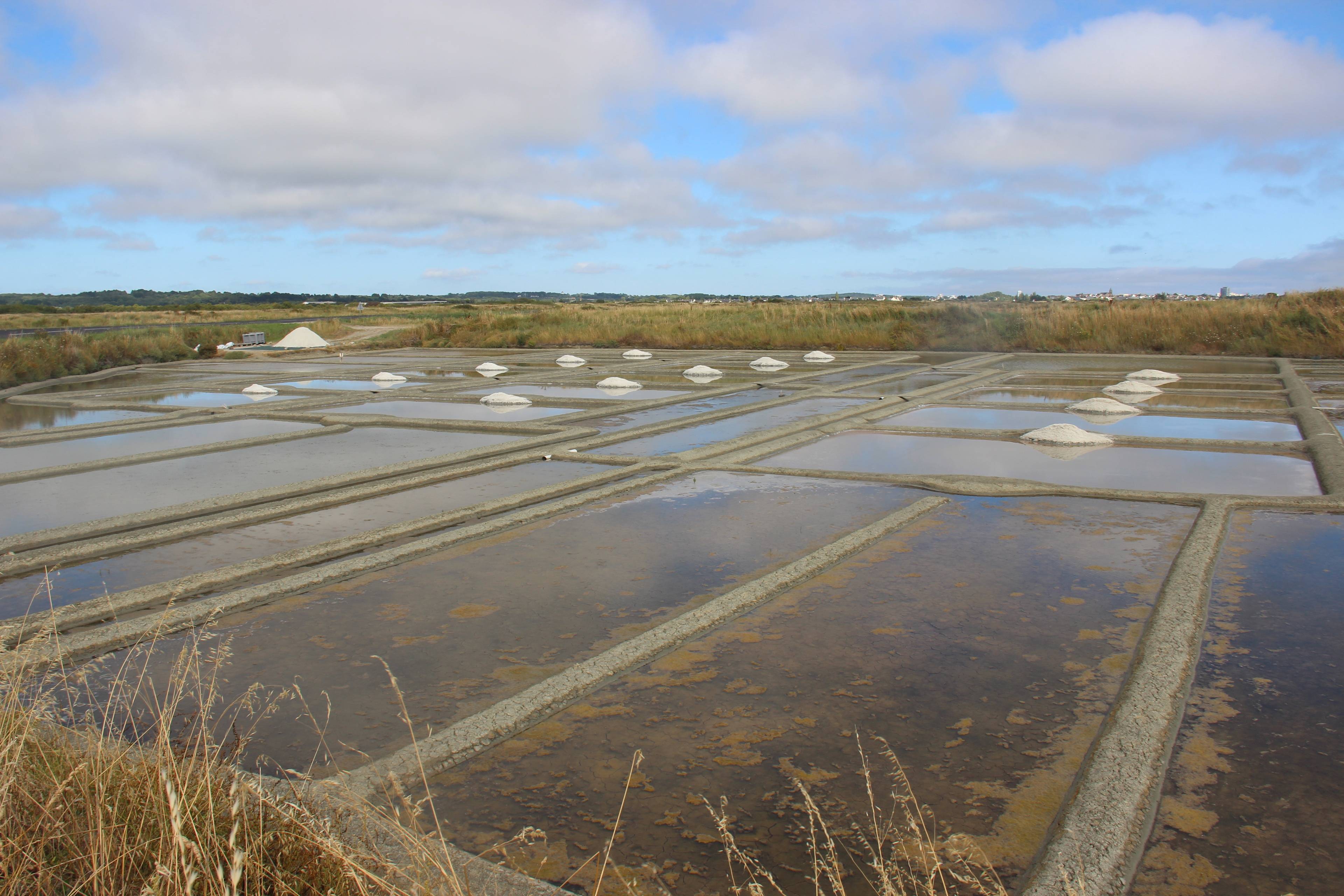 From Le Croisic to the Salt Marshes of Guerande