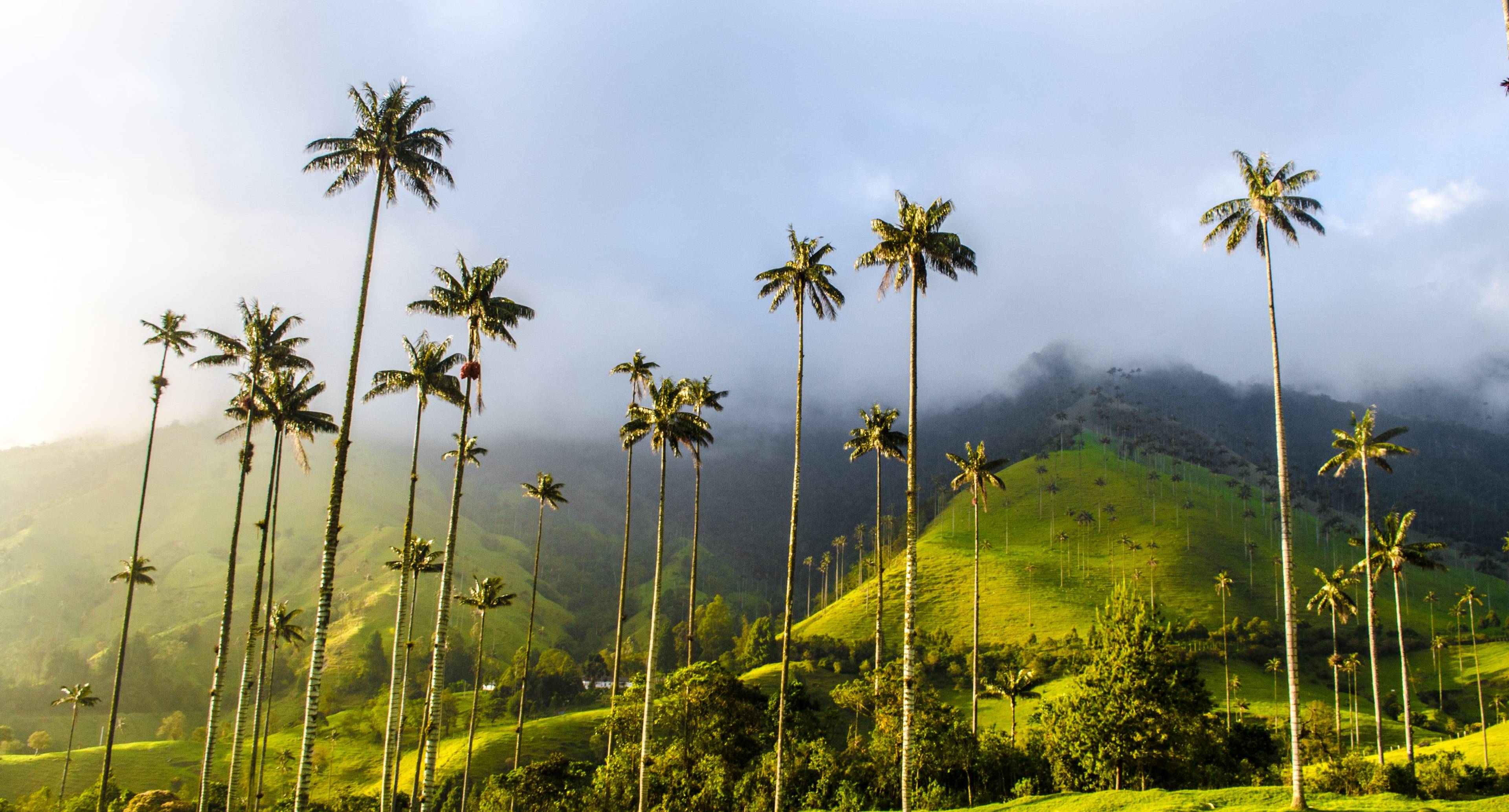 Salento and the Cocora Valley