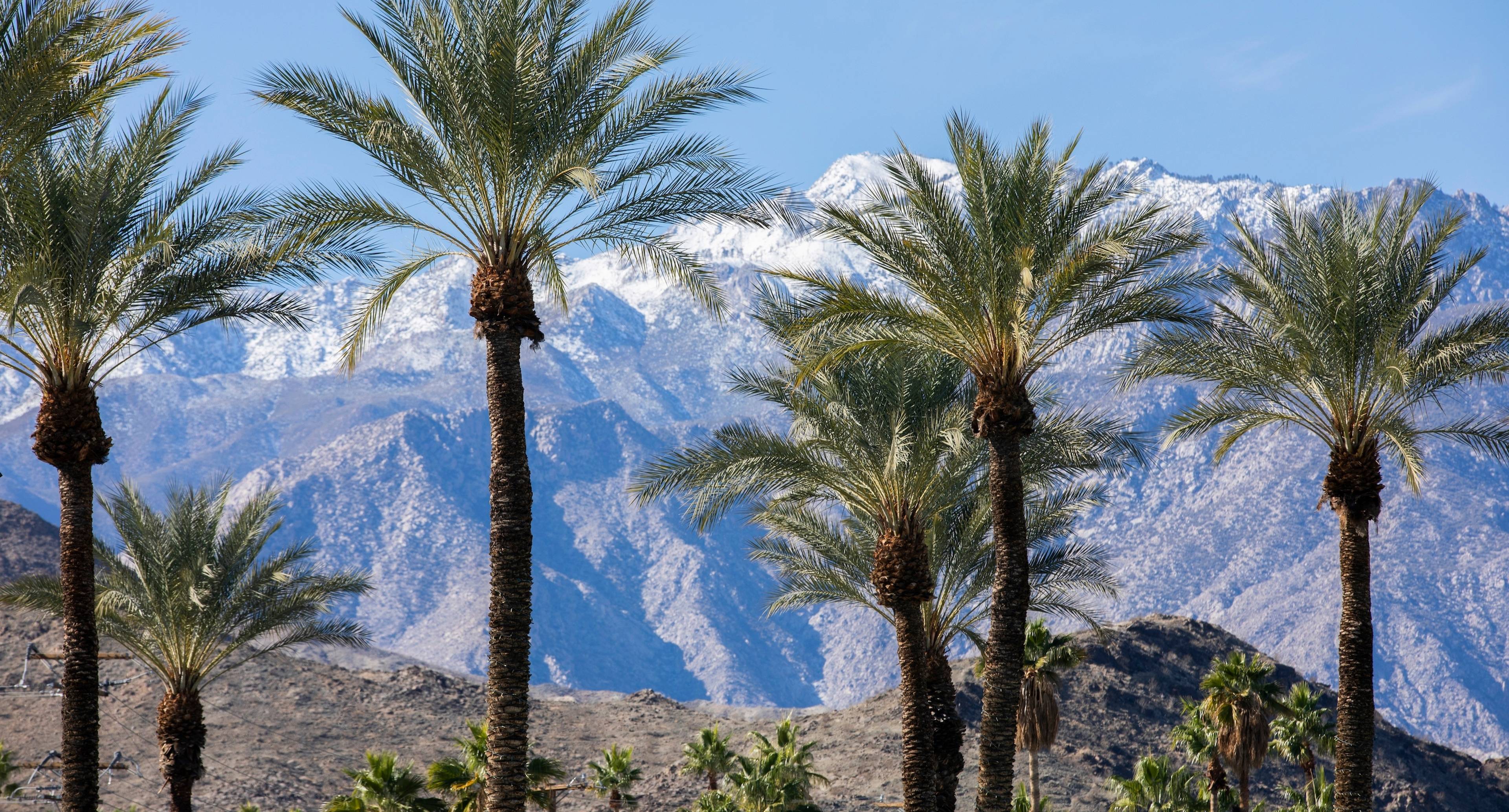Discover the Wonders of the Desert on the Return to Los Angeles, via the Salton Sea and Coachella Valley