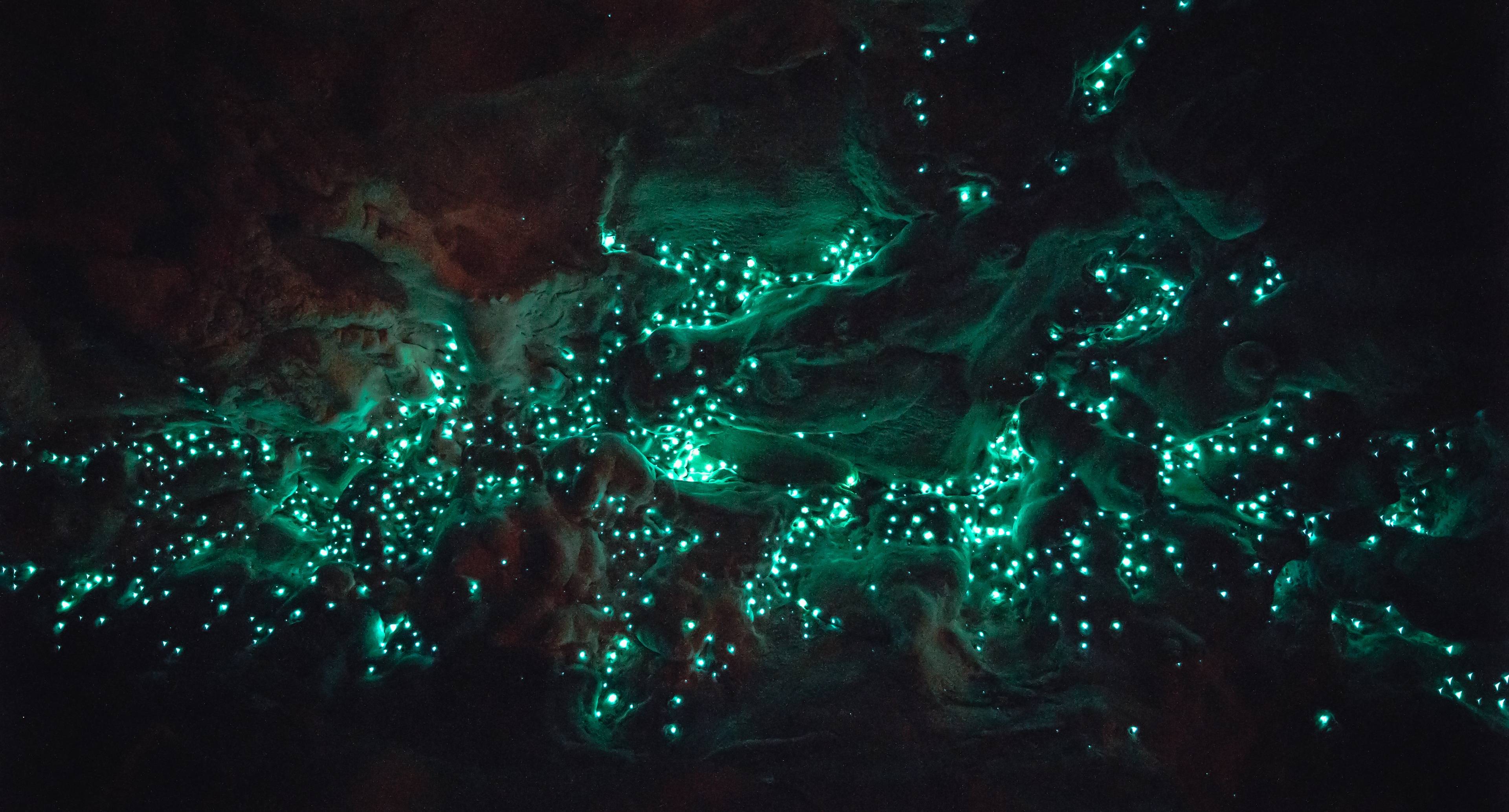 Исследуйте пещеры волшебных светящихся червей и обнимайте альпак