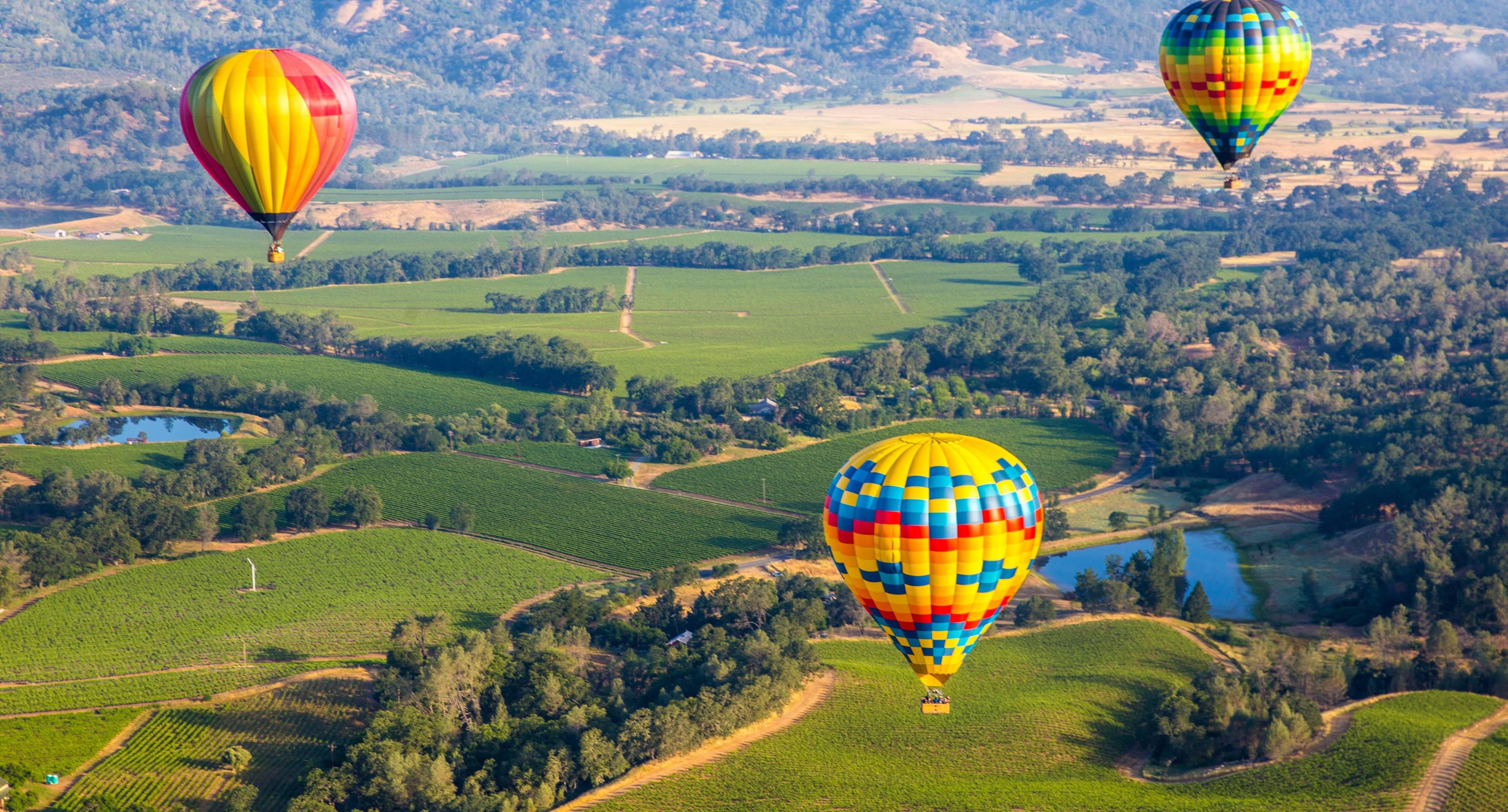 Napa Valley 101: Legacy Wineries, a Baloon Ride, and French Cuisine