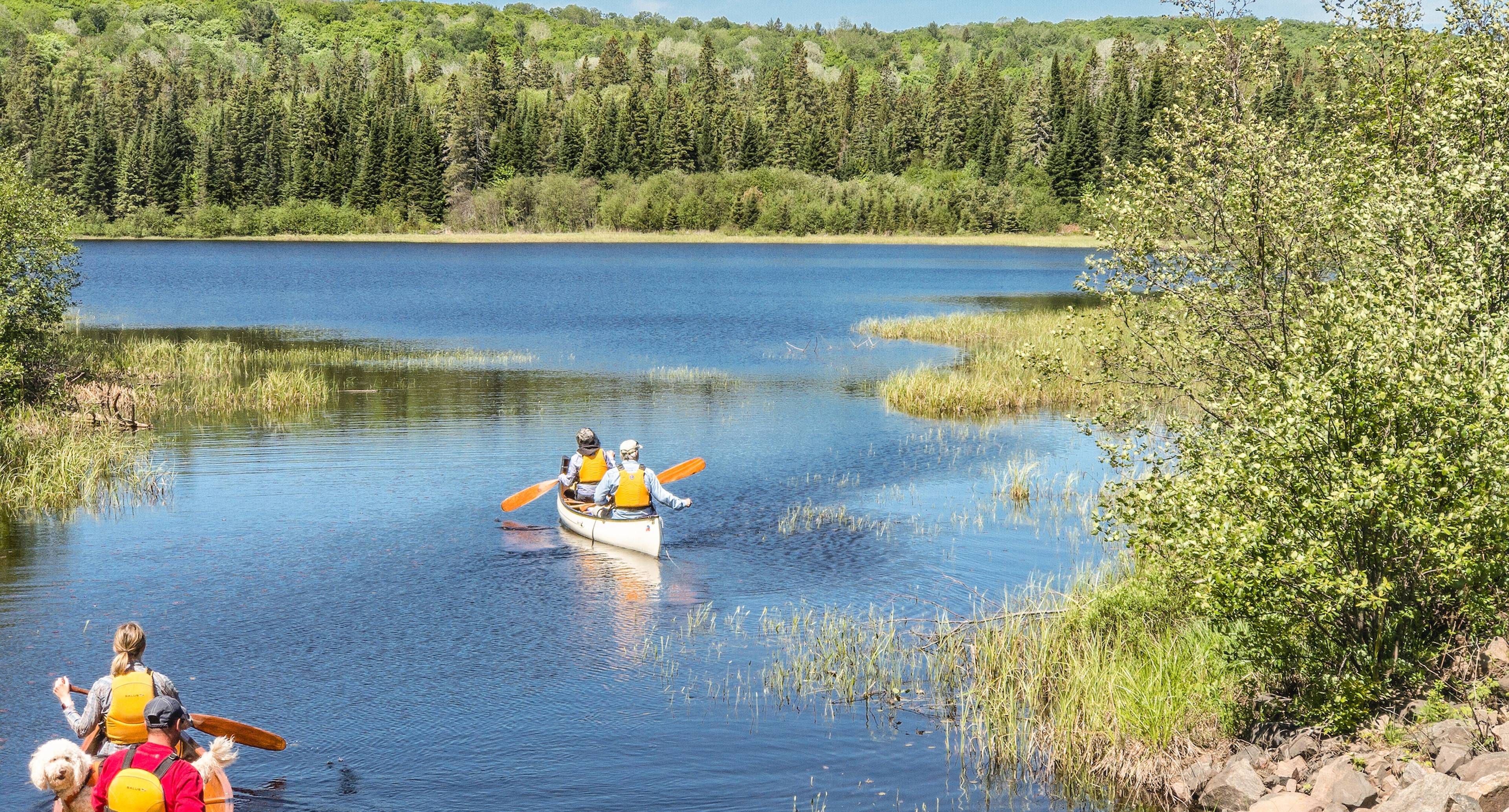 Pesca alla trota e canoa nel Parco Provinciale di Algonquin