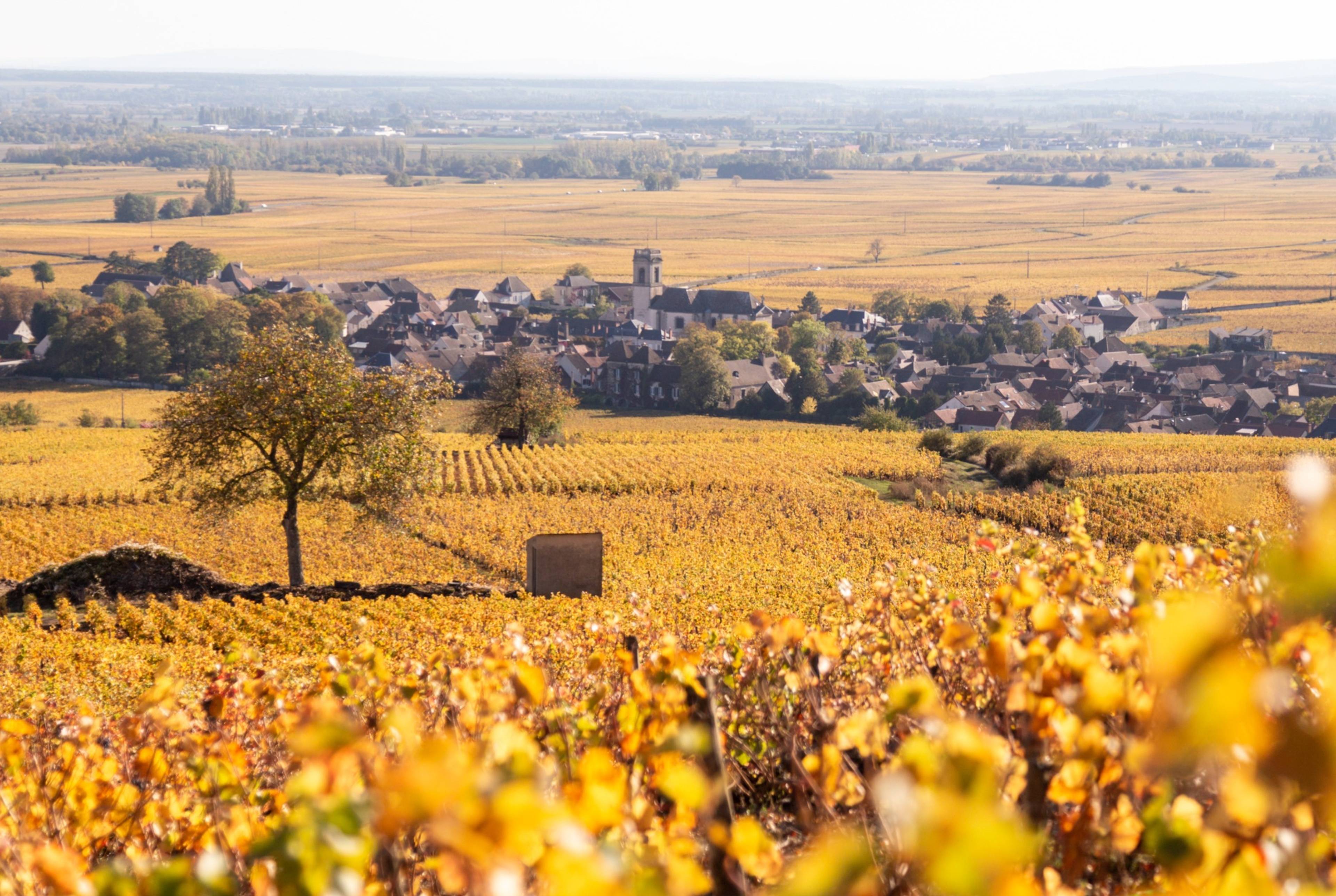 Viaje por carretera a Lyon con paradas para los amantes de la gastronomía