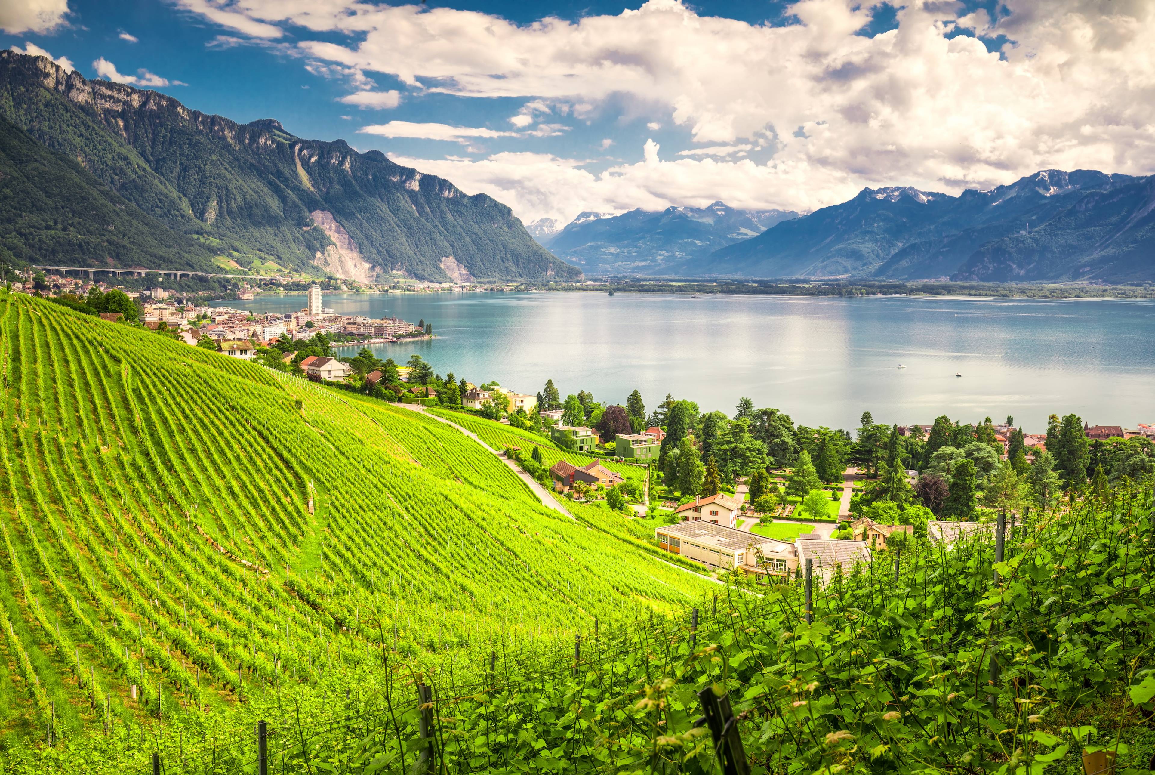 Lavaux e Montreux: Il meglio del Lago Lemano