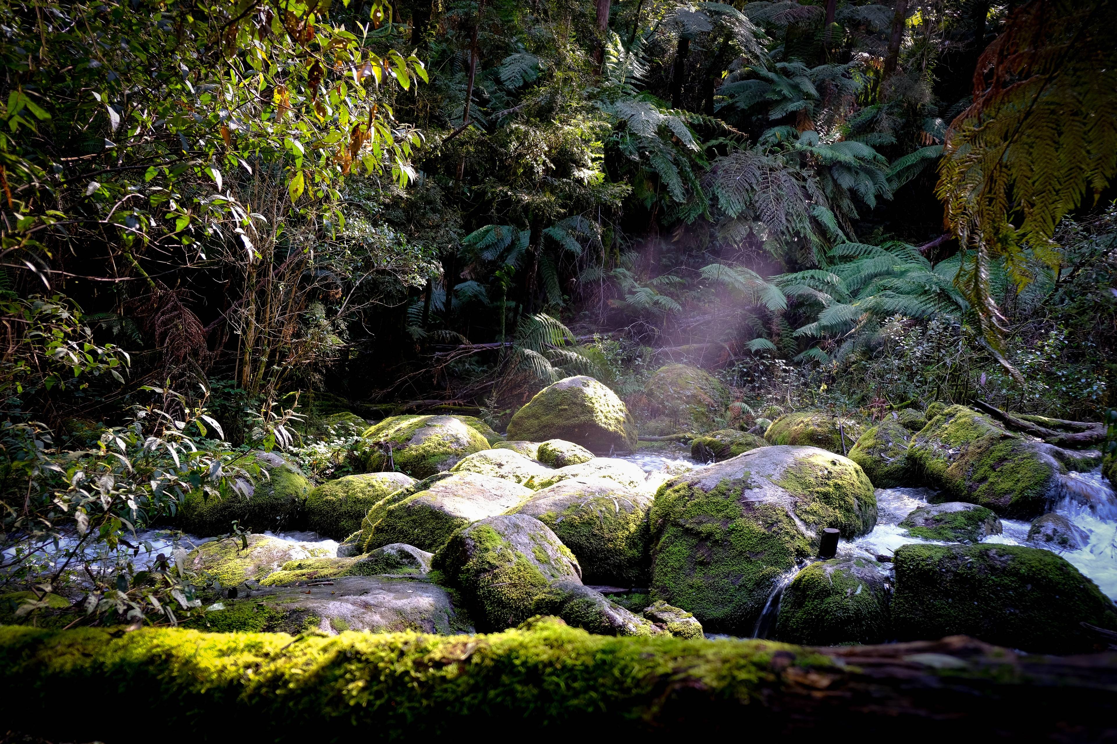 Waterfalls of the second tributary of the Kutarka