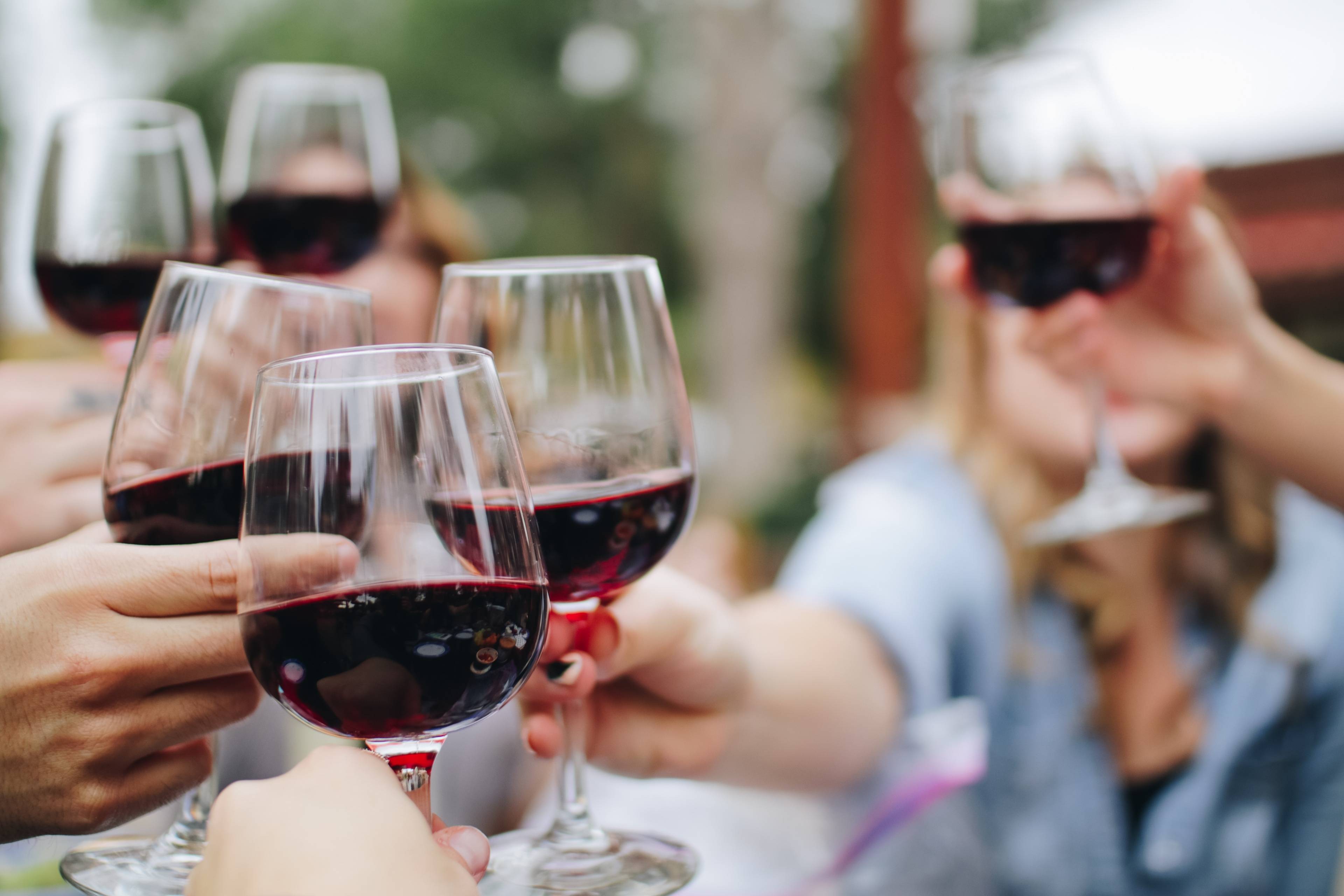 Виноградники и винодельня Алькантара