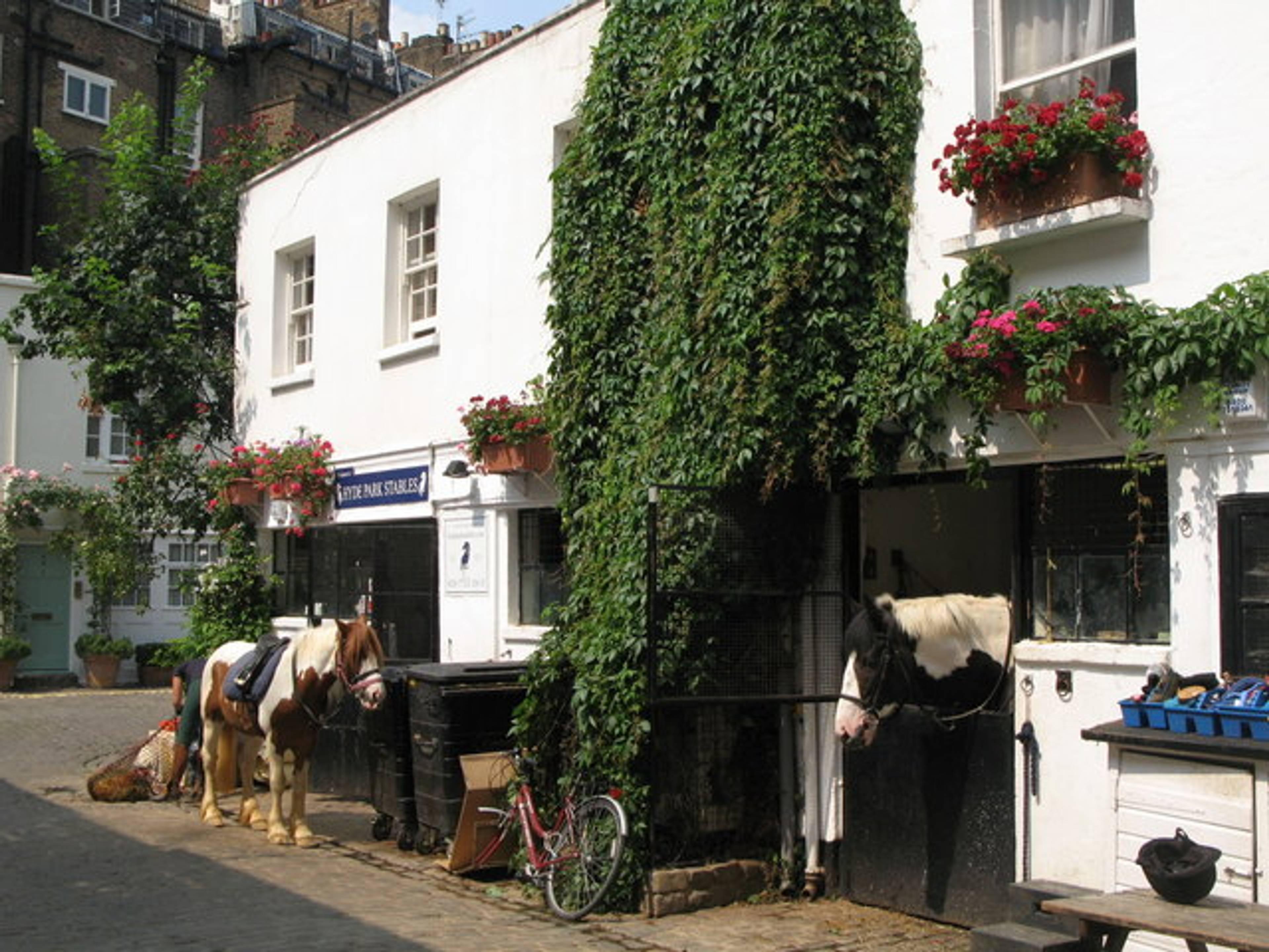 Hyde Park Stables - Horse Riding Central London