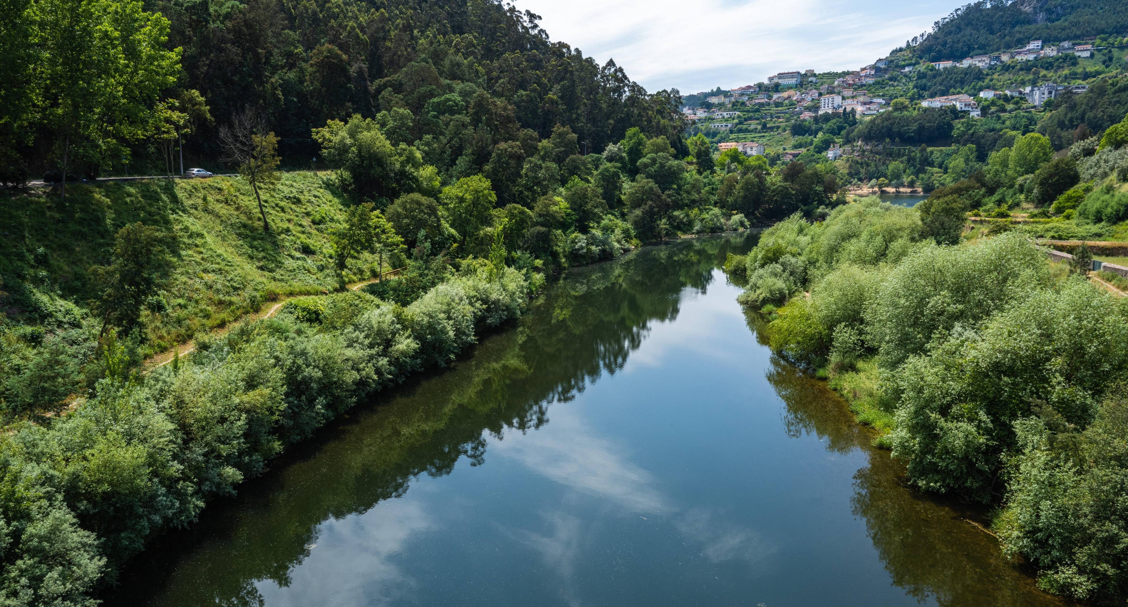 Kayaking The Mondego River