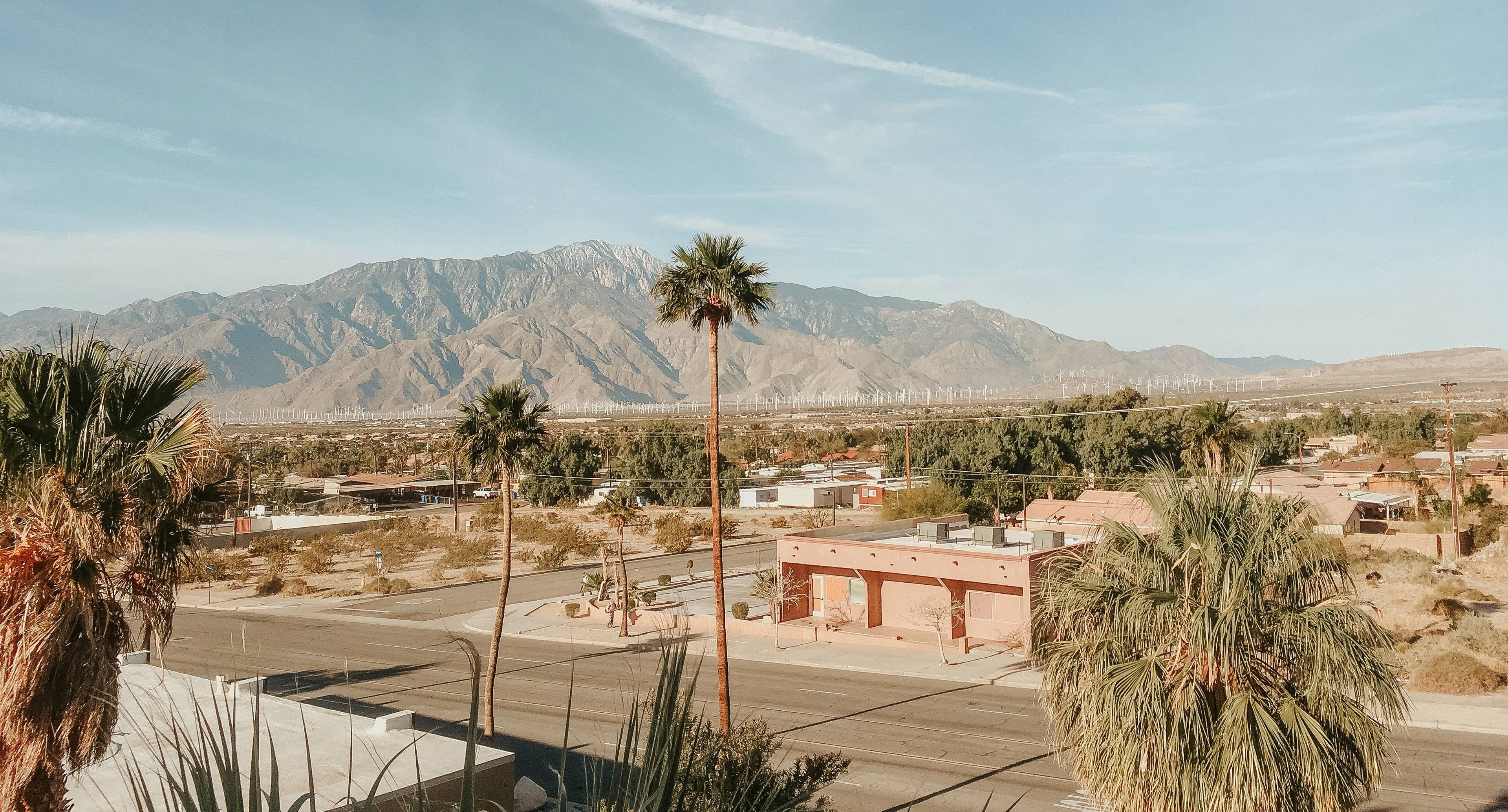 A Leisurely Introduction to Palm Springs