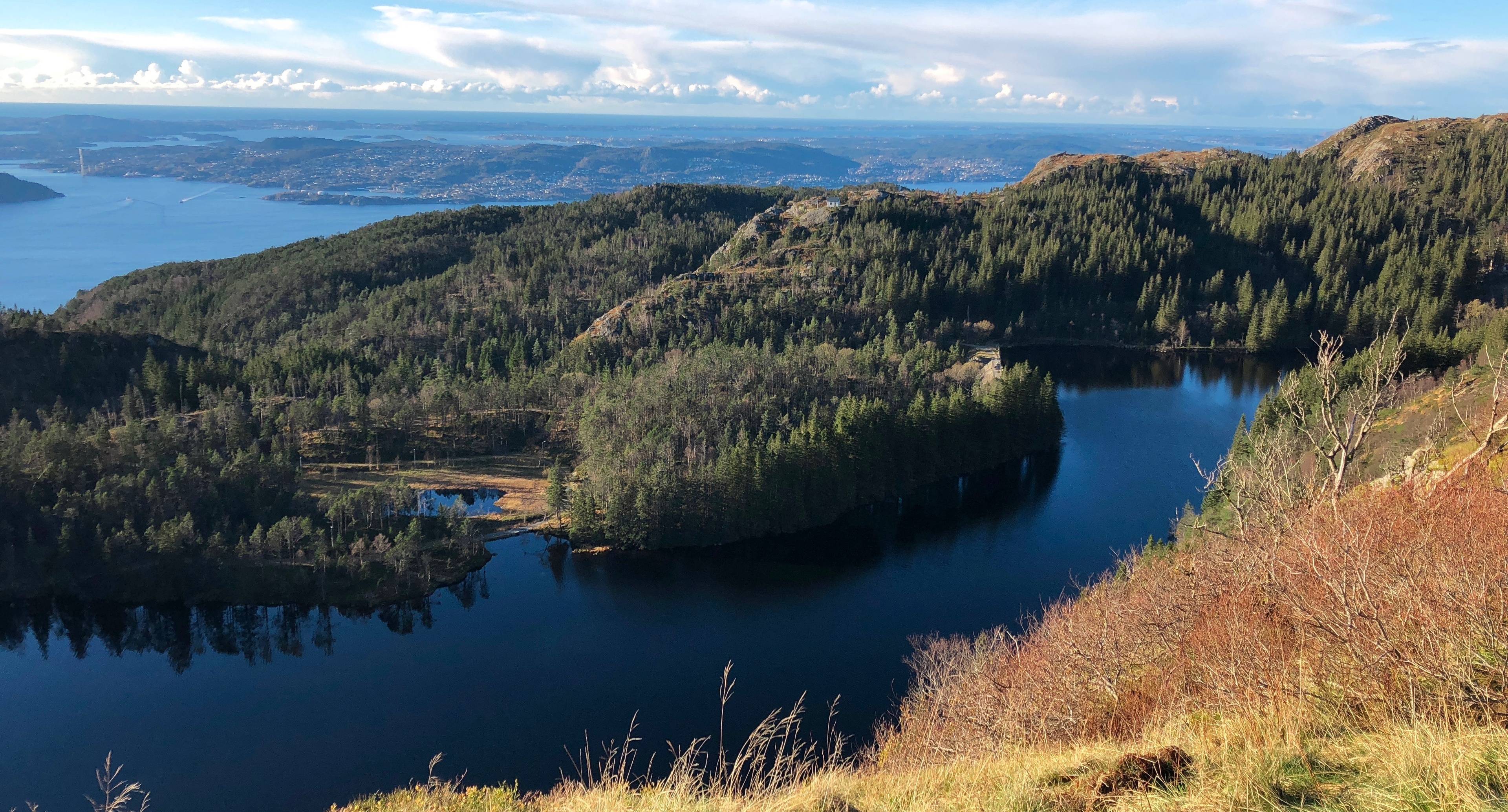 Erleben Sie die Schönheit von Bergens Fjorden und erkunden Sie Osterfjord und Mostraumen