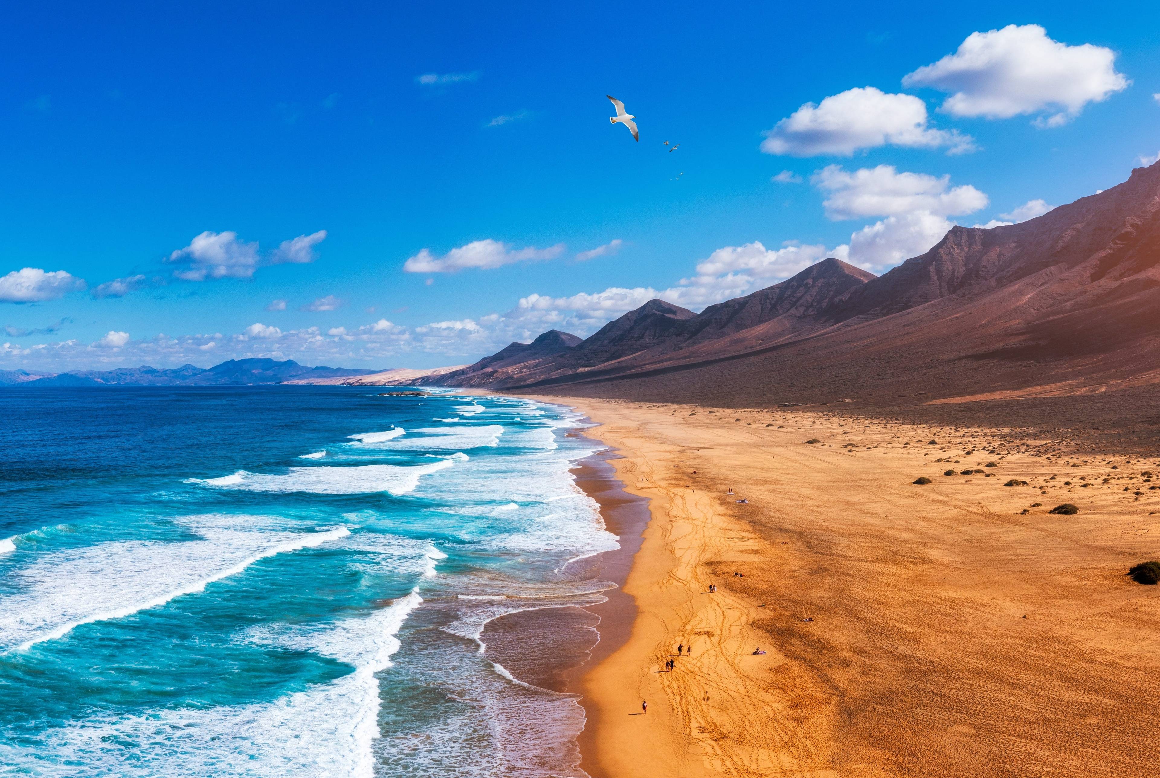Volcanoes and Dunes: The Changing Landscape of North Fuerteventura