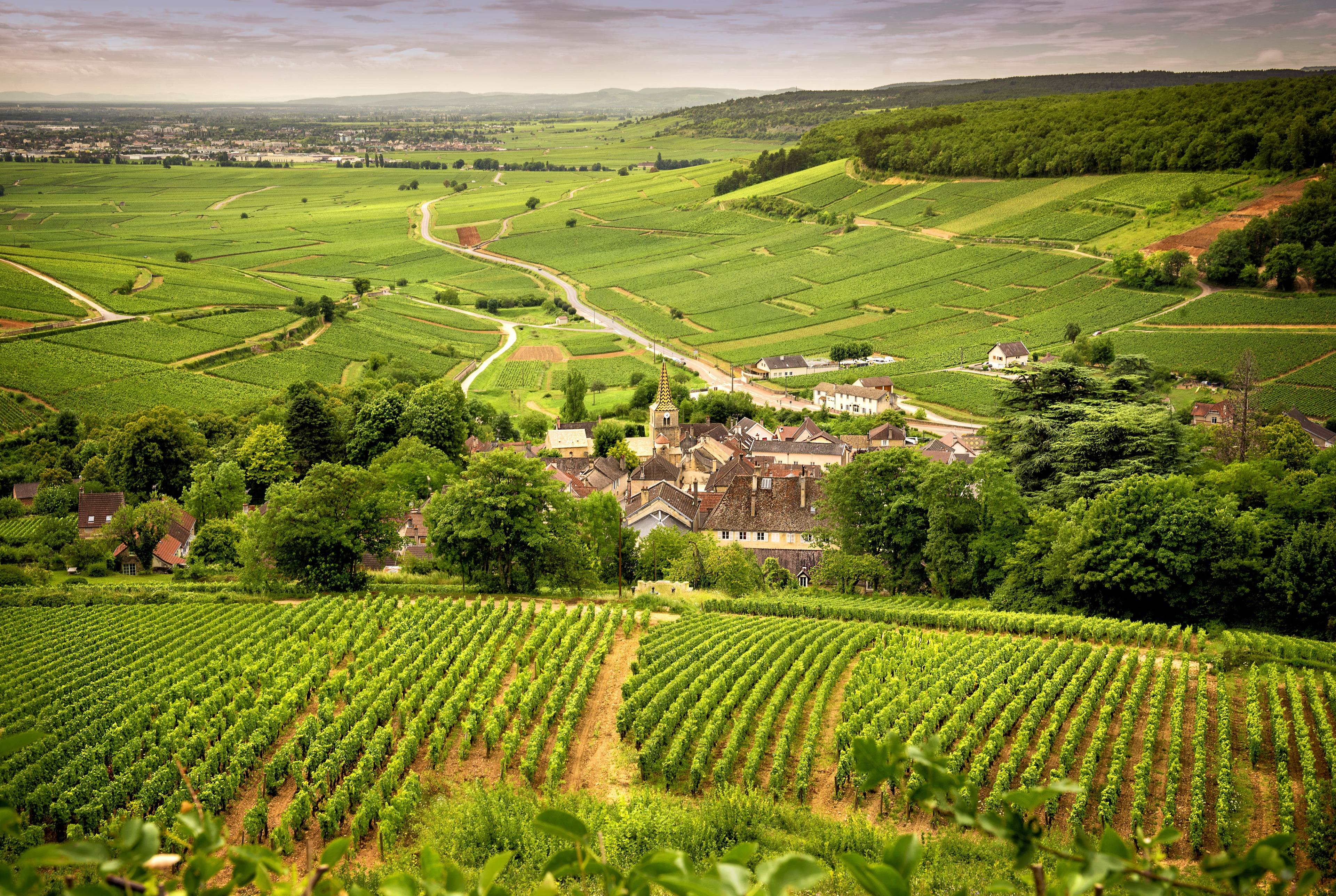 A 2-Day Escape in the Mountains, the Vineyards and the Emblematic Lyon