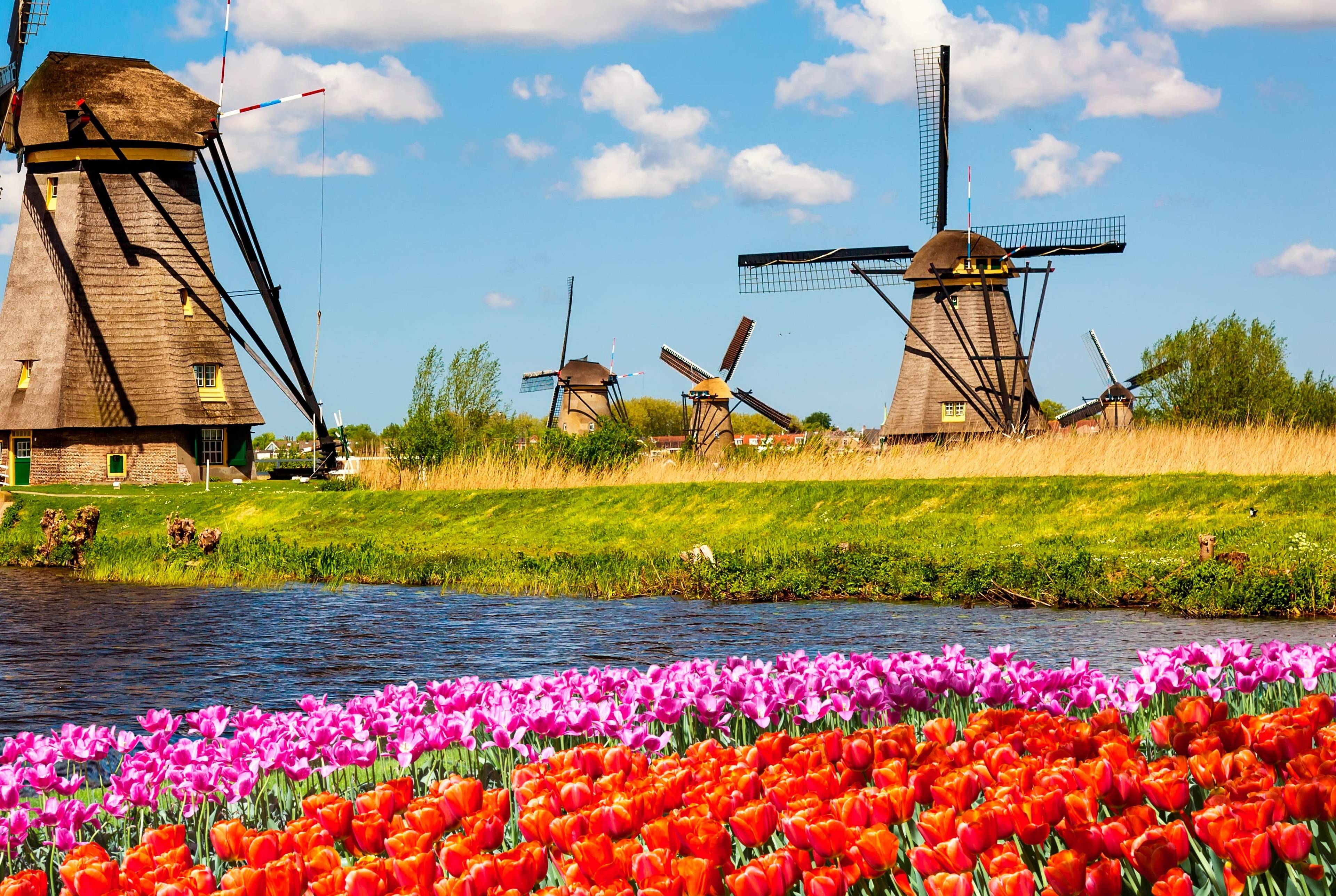 Voyage en famille d'Amsterdam à Bruxelles