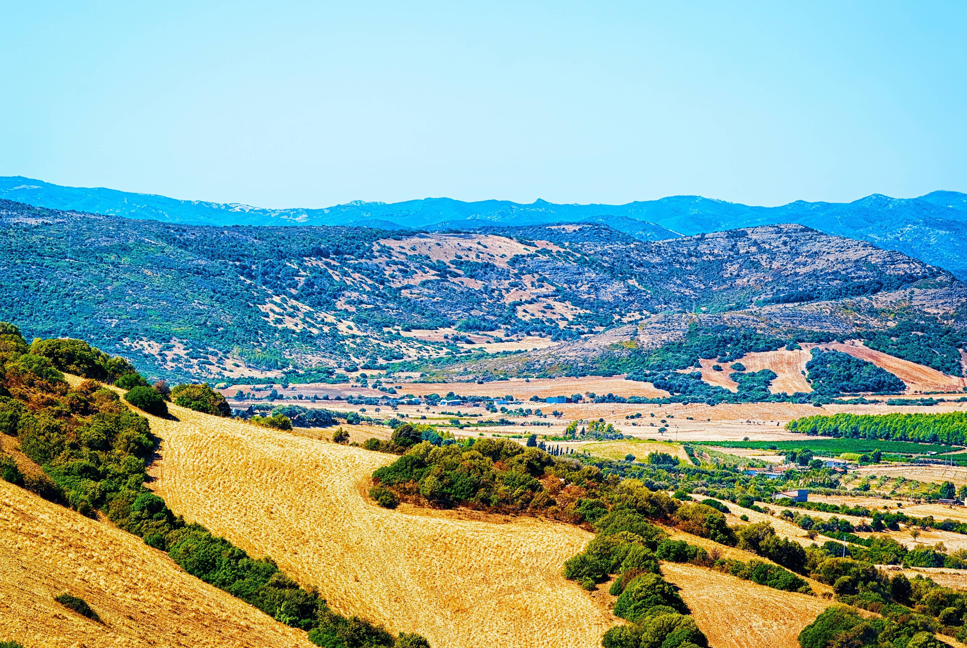 Produzione di formaggi e degustazione di vini nei villaggi della campagna settentrionale della Sardegna